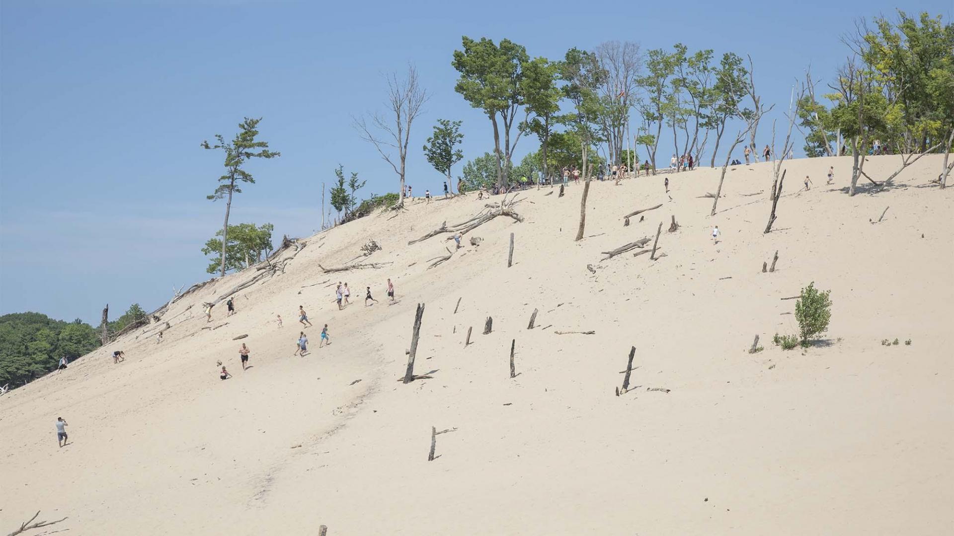 People climbing a dune at Warren Dunes.
