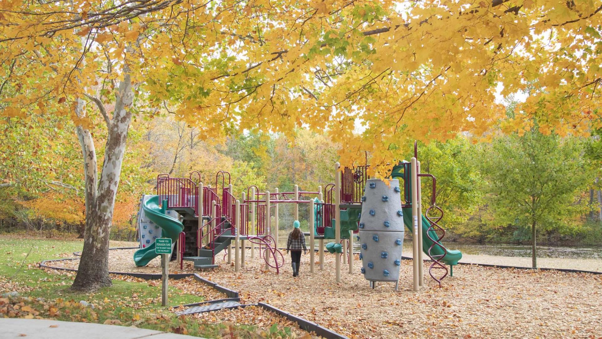 Harbert Community Park in the fall.
