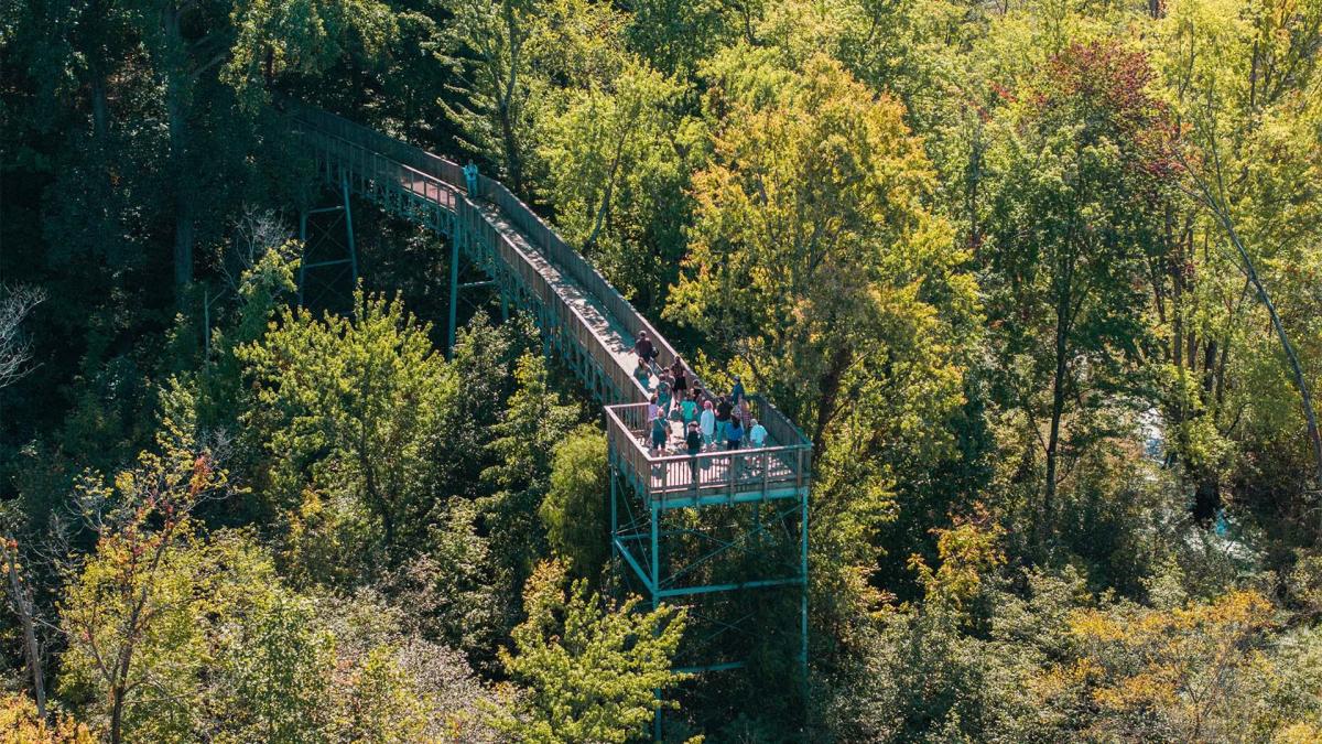 A group of people stands on a raised wooden walkway at Sarett Nature Center surrounded by dense, lush green forest. The scene conveys a peaceful, natural setting.