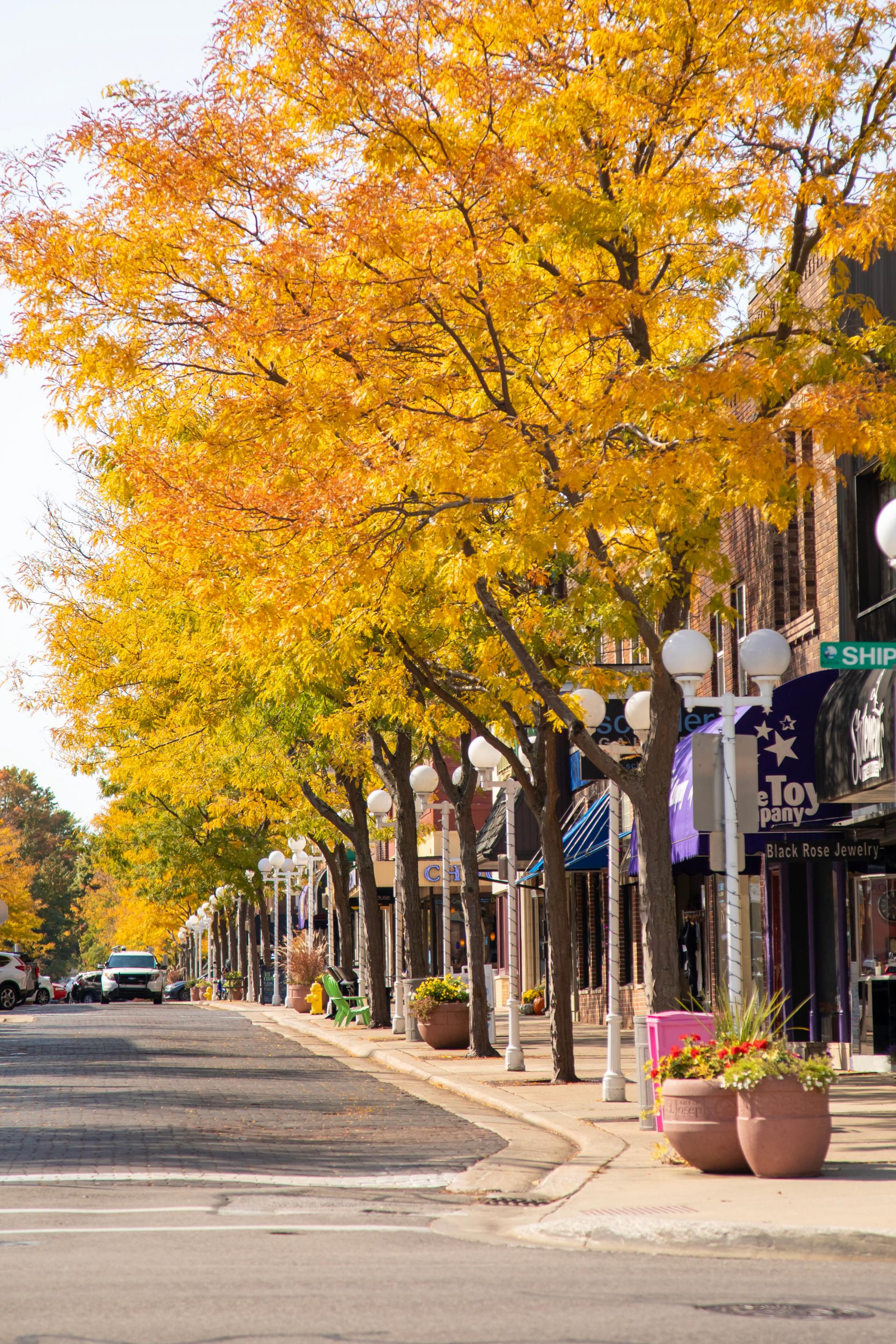 St Joe High Street in fall