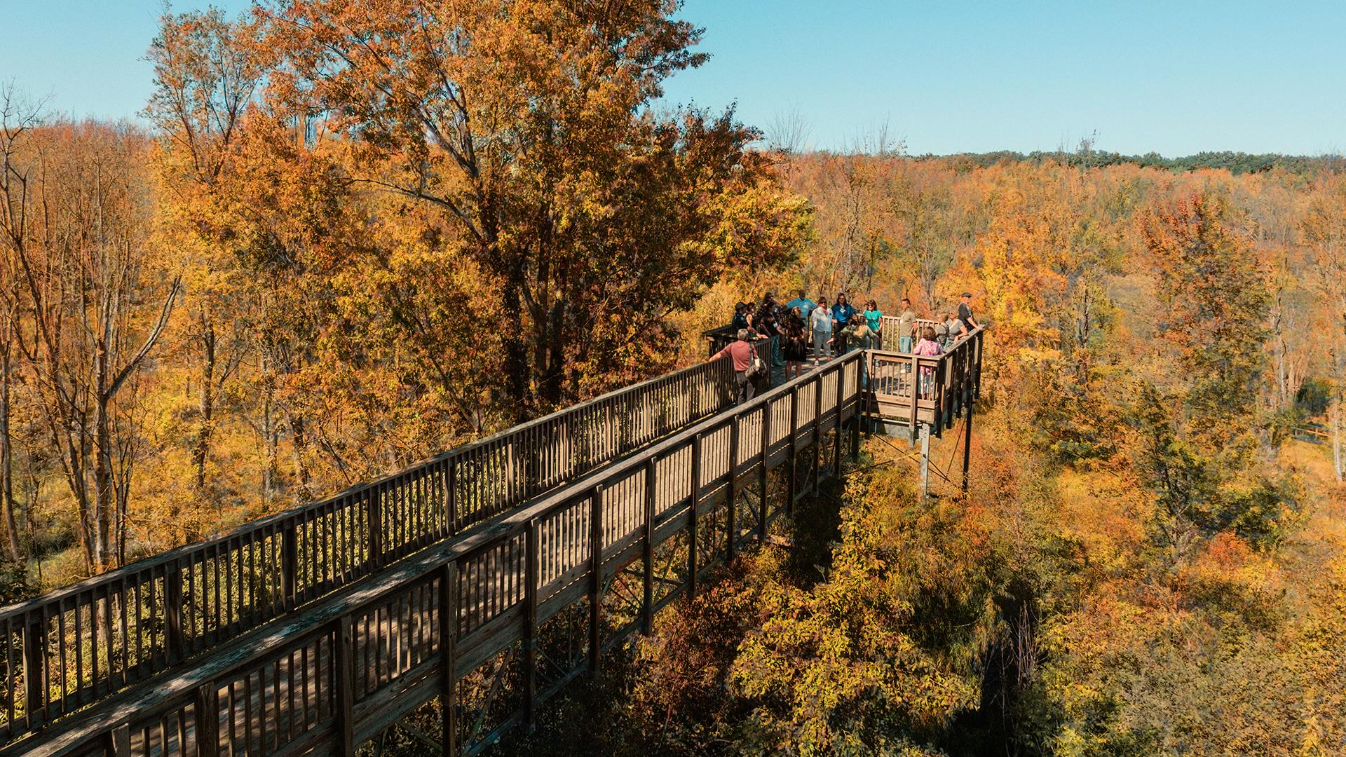 A group of people stand on a wooden observation deck amid vibrant autumn foliage. The scene conveys a sense of tranquility and natural beauty.