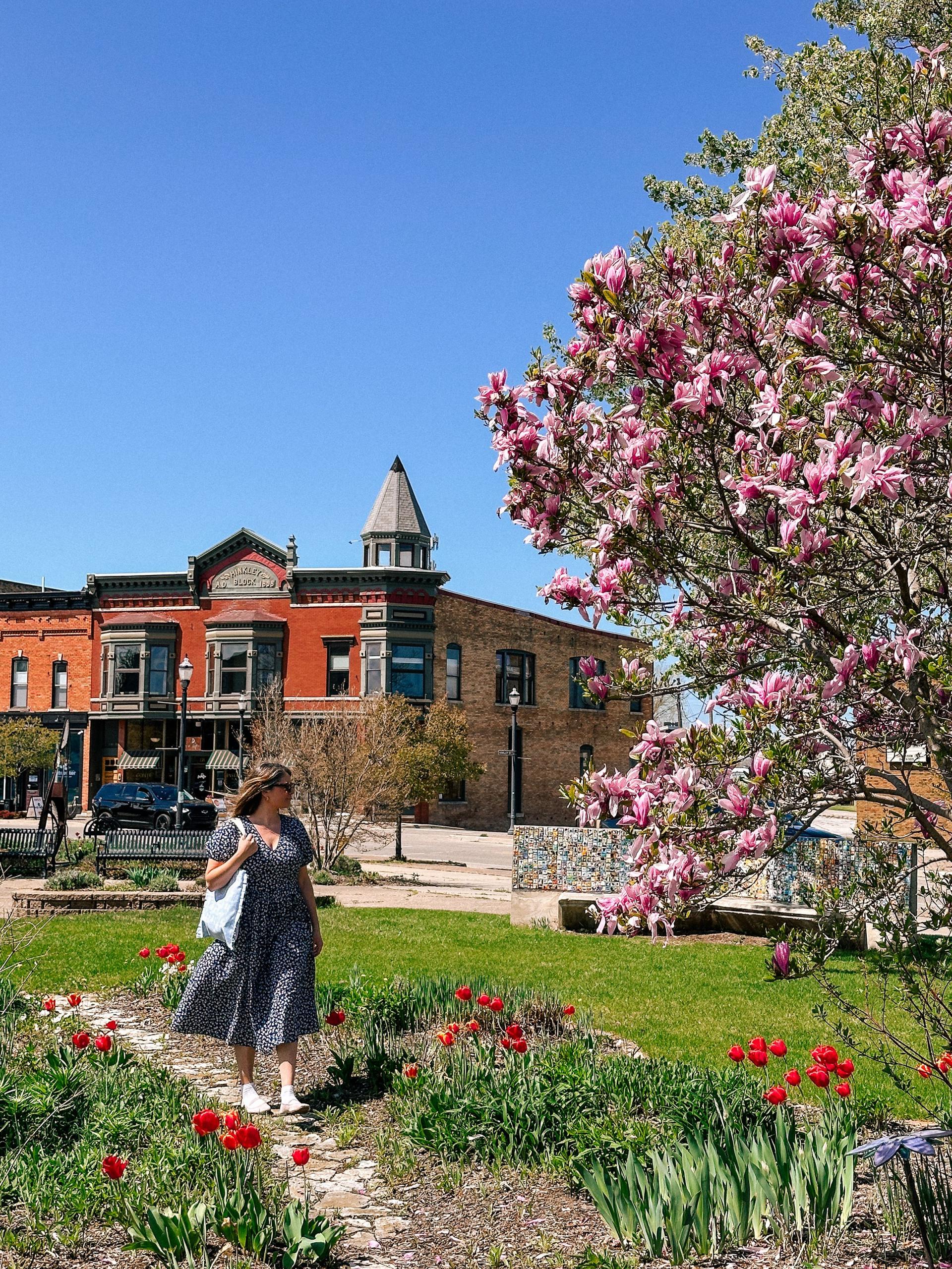 Spring Arts District-Laurel Wilson