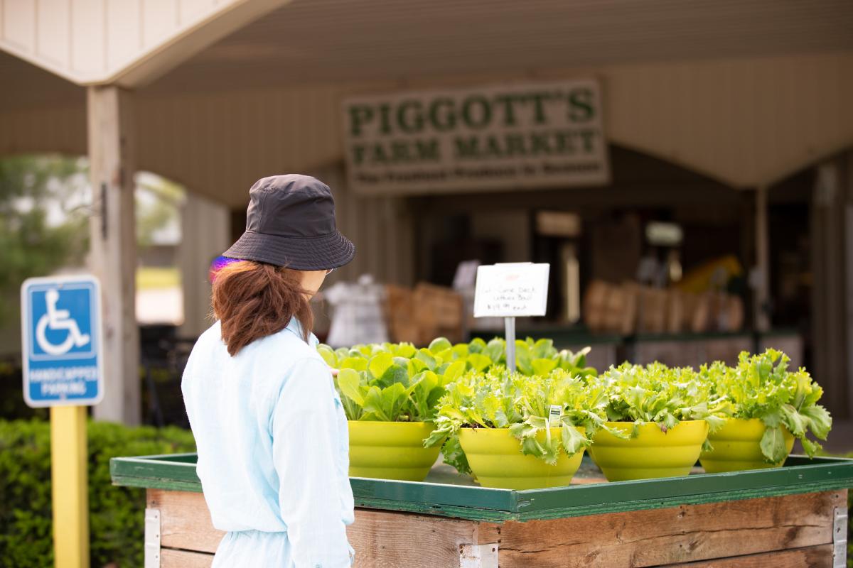 A young woman looking at produce at Piggott's Farm Market.