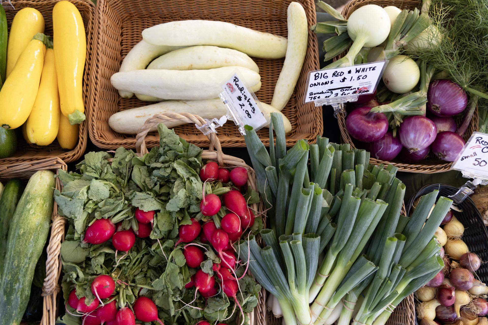 Collection of Vegetables