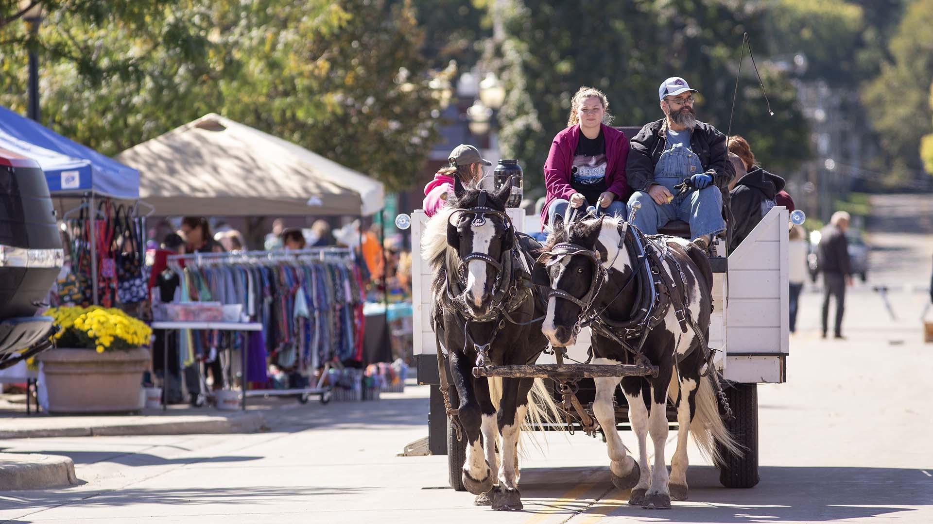 Horse-drawn carriage rides at an event.