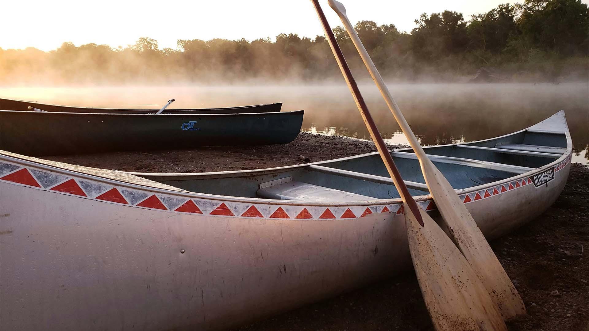 Canoes pulled up on to the shore of a river.