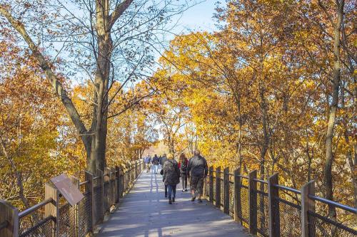 A group of people hiking at Galien River County Park.
