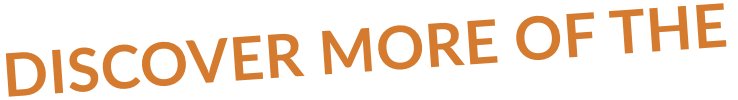 The words Check Out Our